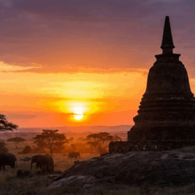 การเผยแผ่พระพุทธศาสนาในแอฟริกา